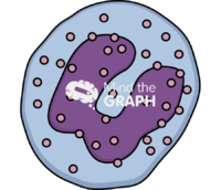 Basophil band cell - Edit and Customize Icons of Basophil band cell Basophil band cell Icons, Symbols, Pictures, and Images